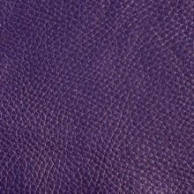 Img9063_violet_Ischia_OK