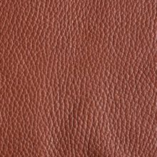 Img9065_burnt_Ischia_OK