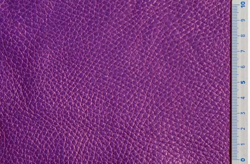 Img9072_cyclamen_Ischia_OK