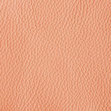 Img9087_salmon_Ischia_OK