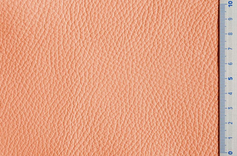 Img9087_salmon_Ischia_OK