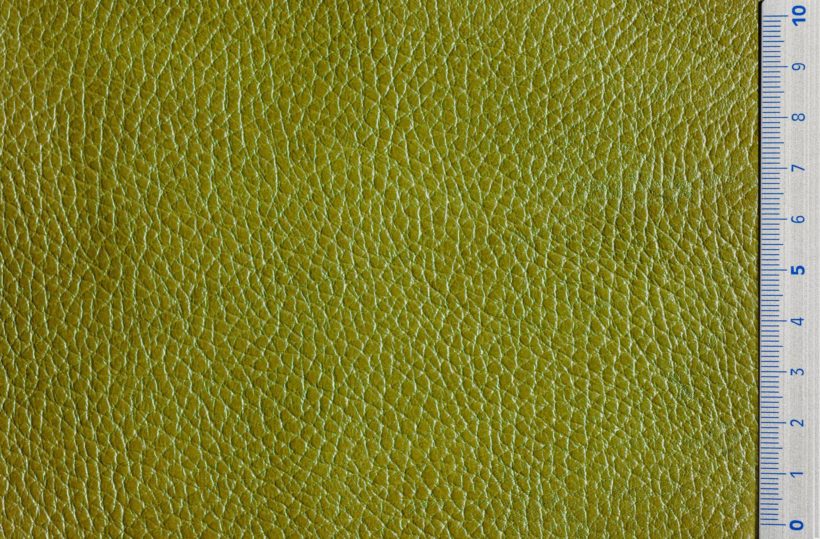 Img9060_olive_ISCHIA_OK