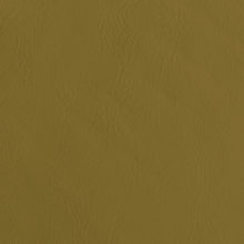 IMG_9086_Panarea_olive