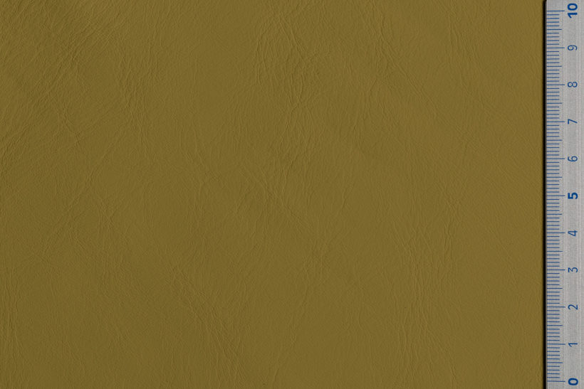 IMG_9086_Panarea_olive