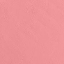 IMG_9086_Panarea_orchid