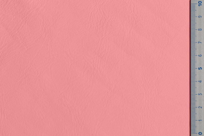 IMG_9086_Panarea_orchid