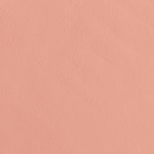 IMG_9086_Panarea_salmon