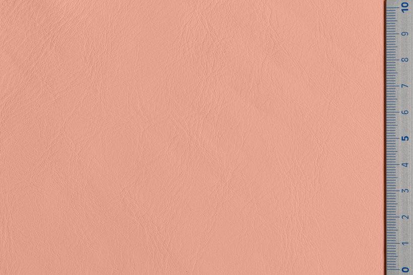 IMG_9086_Panarea_salmon