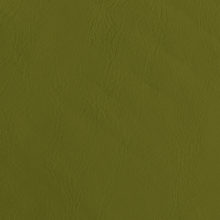 IMG_9086_Panarea_scid green