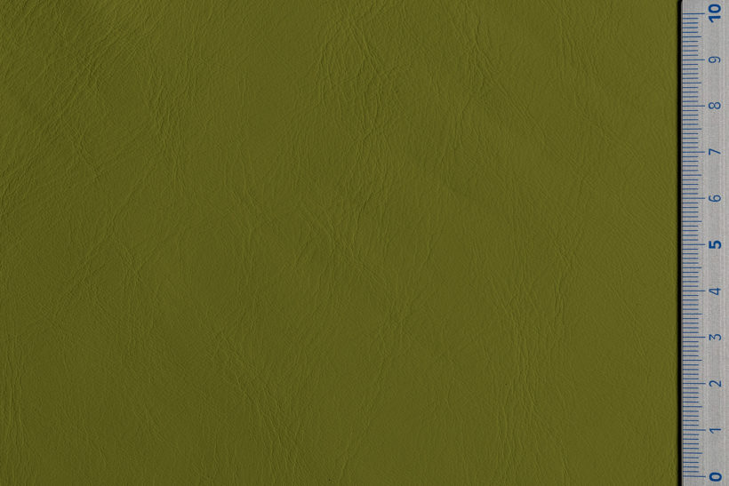 IMG_9086_Panarea_scid green