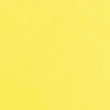 IMG_9086_Panarea_yellow