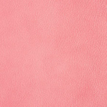 DSC2922_orchid_SALINA_OK