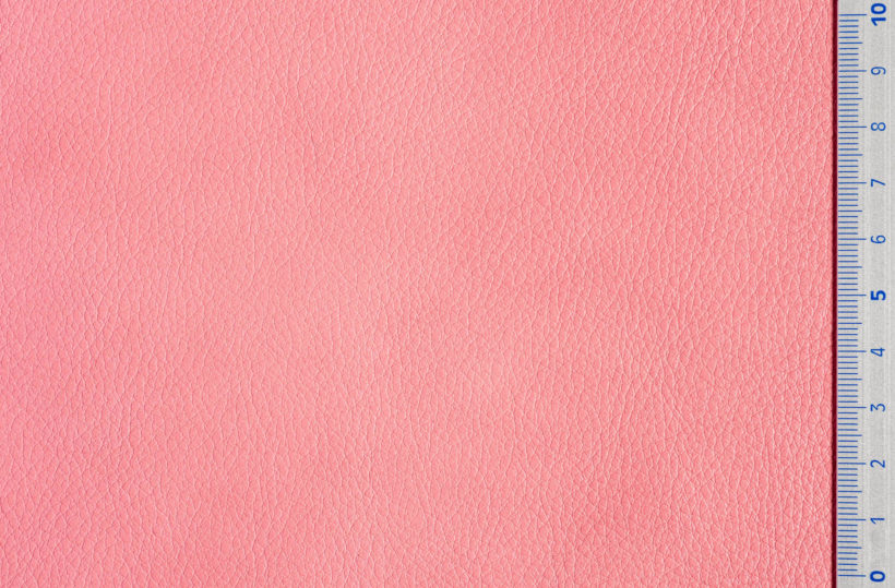 DSC2922_orchid_SALINA_OK