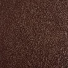 DSC2940_dark_brown_SALINA_OK