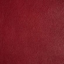 DSC2951_bordeaux_SALINA_OK