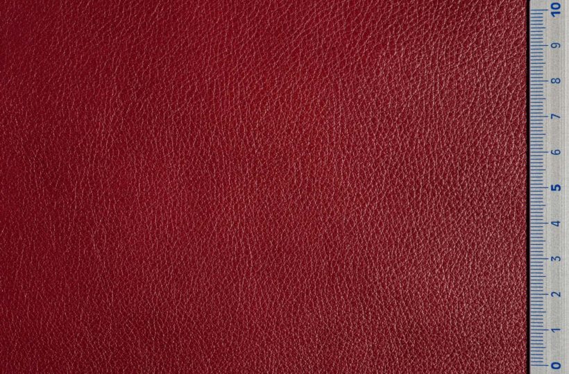 DSC2951_bordeaux_SALINA_OK