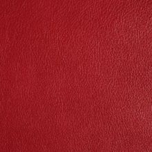 DSC2951_red_SALINA_OK