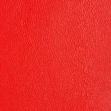 DSC2968_coral_SALINA_OK