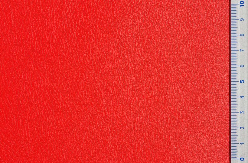 DSC2968_coral_SALINA_OK