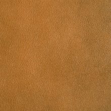 DSC2970_cognac_SALINA_OK