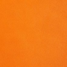 DSC2976_orange_SALINA_OK