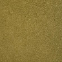 DSC2983_olive_SALINA_OK