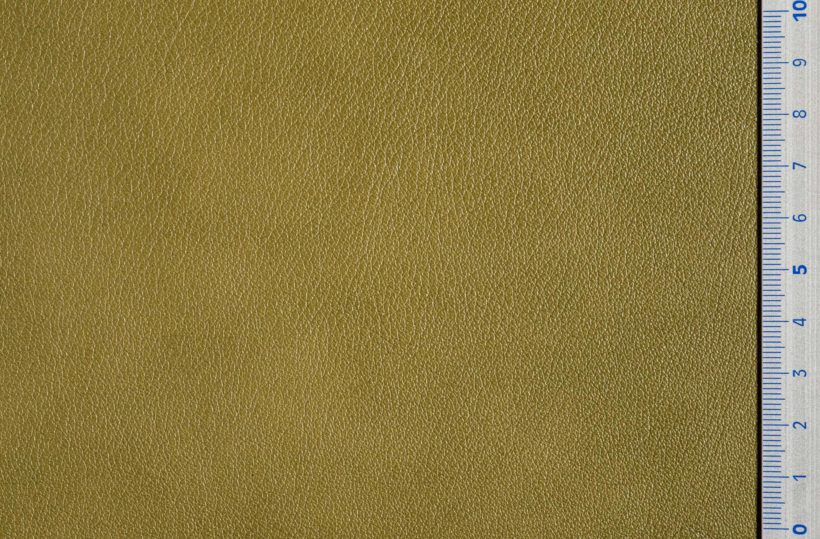 DSC2983_olive_SALINA_OK