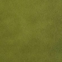 DSC3005_acid_green_SALINA_OK