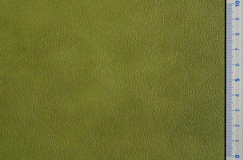 DSC3005_acid_green_SALINA_OK