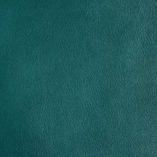 DSC3013_teal_SALINA_OK