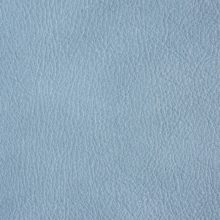 DSC3028_lilac_SALINA_OK