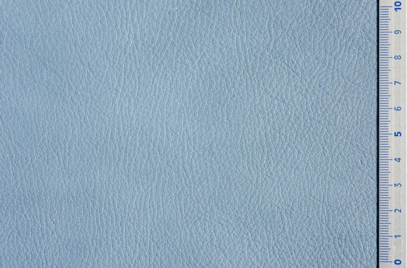 DSC3028_lilac_SALINA_OK