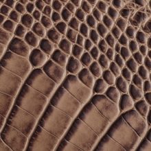 IMG_9052_alicudi_opaco_testa_di_moro