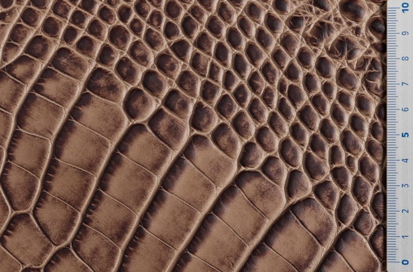 IMG_9052_alicudi_opaco_testa_di_moro