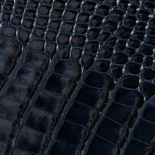 IMG_9061_alicudi_lucido_blu