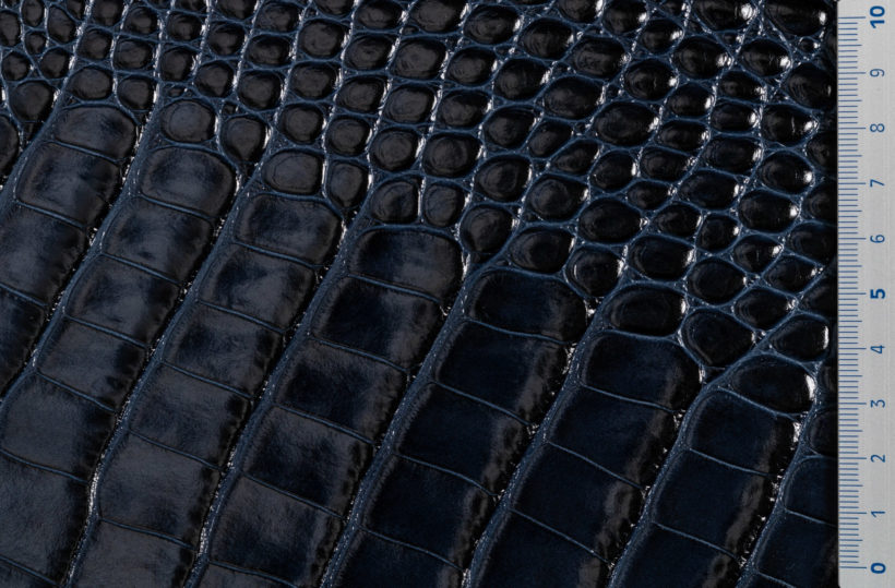 IMG_9061_alicudi_lucido_blu