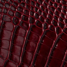 IMG_9077_alicudi_lucido_bordeaux