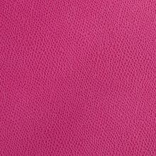 IMG_9497_PANTELLERIA_orchid