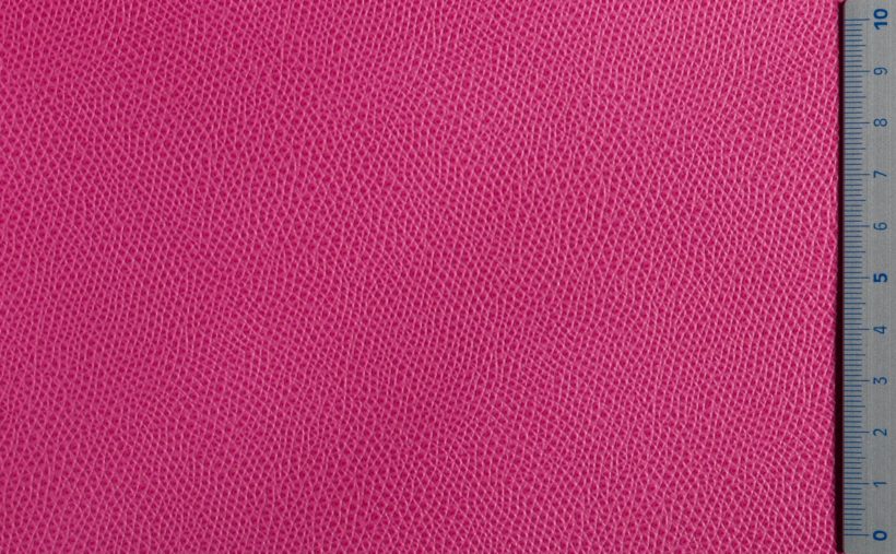 IMG_9497_PANTELLERIA_orchid