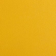 IMG_9503_PANTELLERIA_yellow