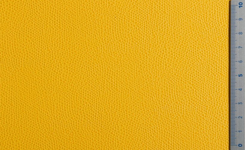 IMG_9503_PANTELLERIA_yellow