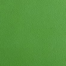 IMG_9509_PANTELLERIA_acid_green