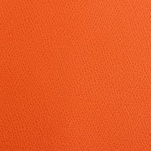 IMG_9520_PANTELLERIA_tangerine