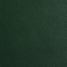 IMG_9522_PANTELLERIA_green