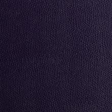 IMG_9525_PANTELLERIA_violet