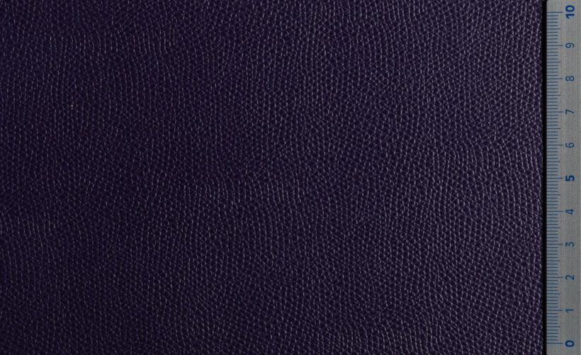 IMG_9525_PANTELLERIA_violet