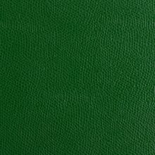 IMG_9526_PANTELLERIA_light_green