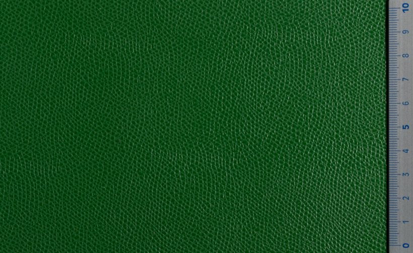 IMG_9526_PANTELLERIA_light_green