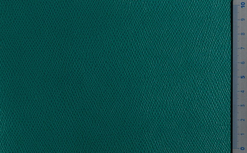 IMG_9533_PANTELLERIA_teal