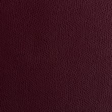 IMG_9538_PANTELLERIA_bordeaux